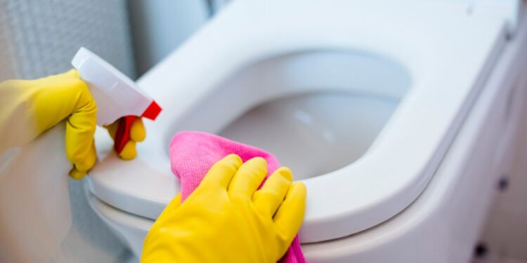 Vaso Sanitário novo de novo com essa mistura MILAGOROSA para tirar mancha amarela