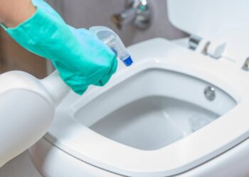 Acabe com o MAU CHEIRO no vaso sanitário com ESTE TRUQUE