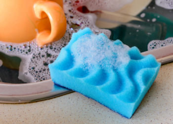 Aprenda a HIGIENIZAR esponja de cozinha facilmente