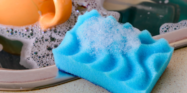 Aprenda a HIGIENIZAR esponja de cozinha facilmente