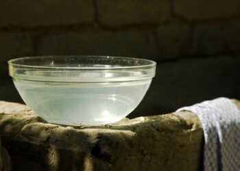 Como deixar o ar da casa menos seco? Veja dicas!