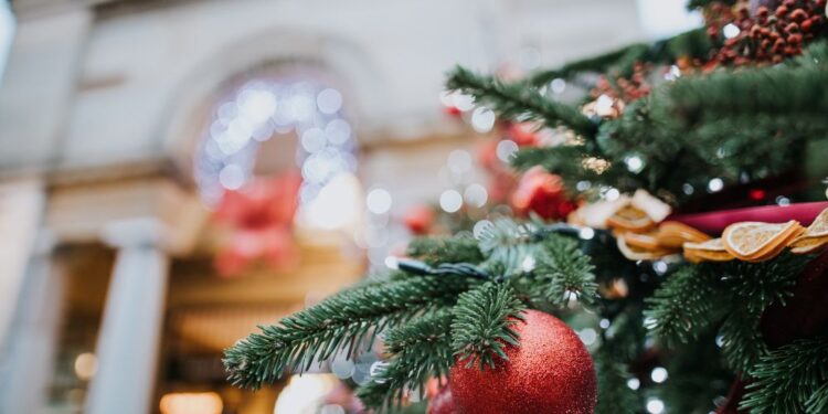 Decoração de Natal para jardim: Veja como fazer a sua!