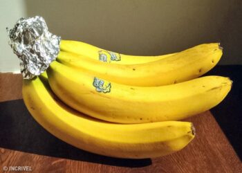 Coloque PAPEL ALUMÍNIO na banana DESSE JEITO e fique surpresa com o que vai acontecer