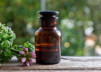 Solução RÁPIDA para espantar mosquitos de casa