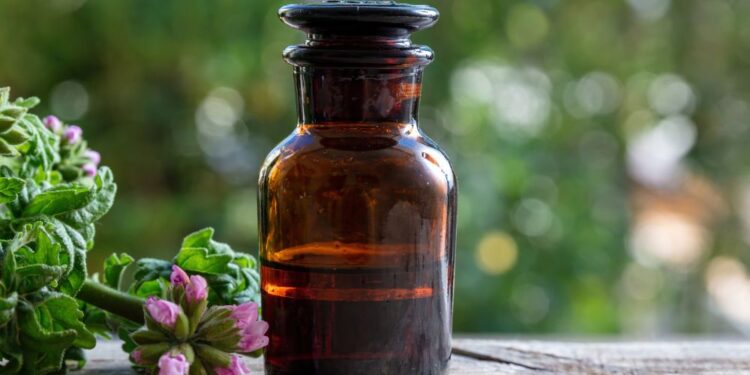 Solução RÁPIDA para espantar mosquitos de casa