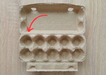 Truques para facilitar a organização em casa