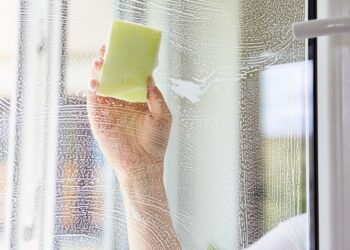 Truques para limpar janelas SEM DEIXAR MARCA