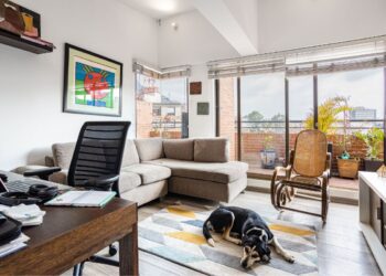 adaptar cachorro em apartamento