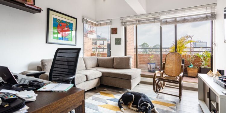 adaptar cachorro em apartamento