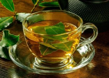 Chá de louro: um Santo Remédio! Veja os principais benefícios e como tomar