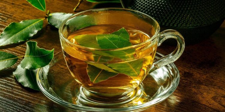 Chá de louro: um Santo Remédio! Veja os principais benefícios e como tomar