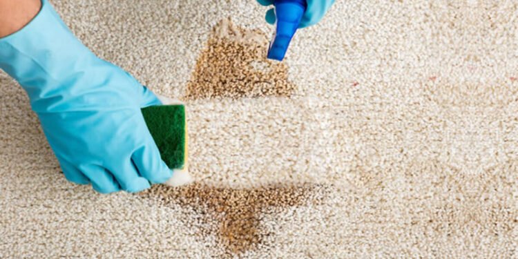 receitas caseiras para tirar manchas de tapete