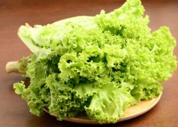 folhas de alface