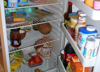 Conhece o TRUQUE do Papel higiênico na geladeira? Essa DICA está fazendo sucesso no TIKTOK