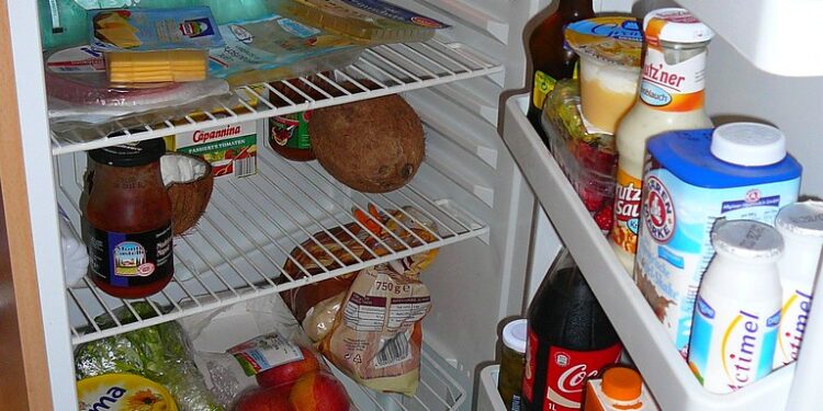 Conhece o TRUQUE do Papel higiênico na geladeira? Essa DICA está fazendo sucesso no TIKTOK