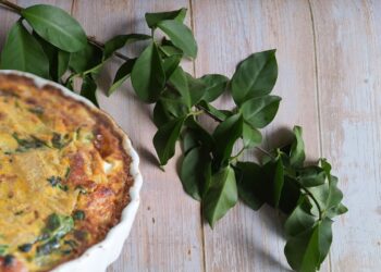 ora-pro-nóbis emagrece