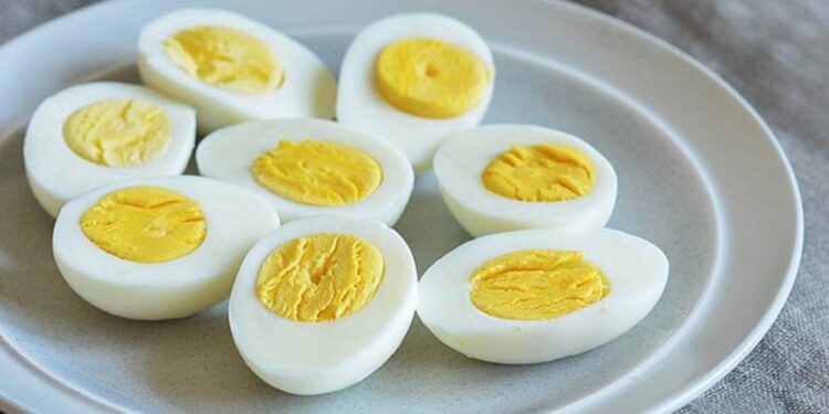 É saudável ou não comer OVOS todos os dias? Novo estudo pode surpreender você!