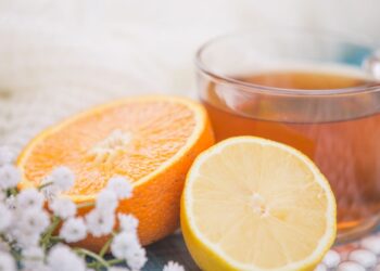 receitas caseiras para sinusite