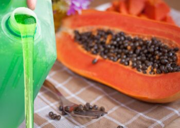 sabão líquido de folhas de mamão