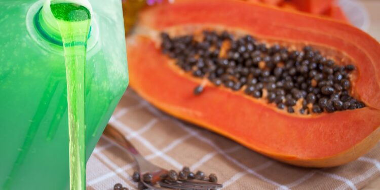 sabão líquido de folhas de mamão