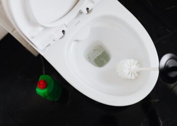 tirar manchas do vaso sanitário