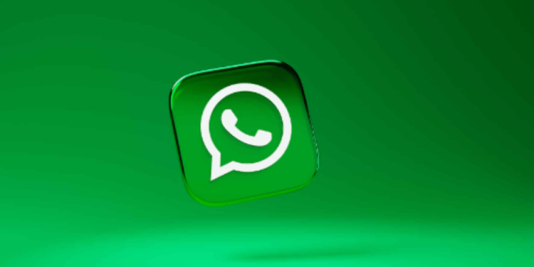 WhatsApp: envio de foto e vídeo sem perder a qualidade é liberado; saiba como usar