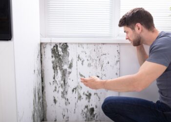 Como ACABAR com a umidade no quarto?