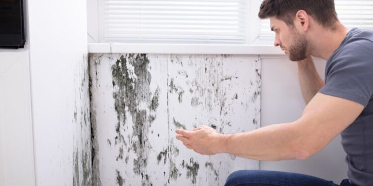 Como ACABAR com a umidade no quarto?