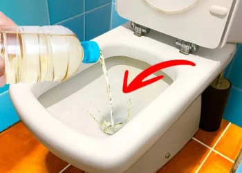 Saiba por que você DEVE jogar vinagre no vaso sanitário uma vez por mês