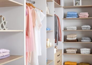 SEGREDO para acabar com as TRAÇAS no guarda-roupa