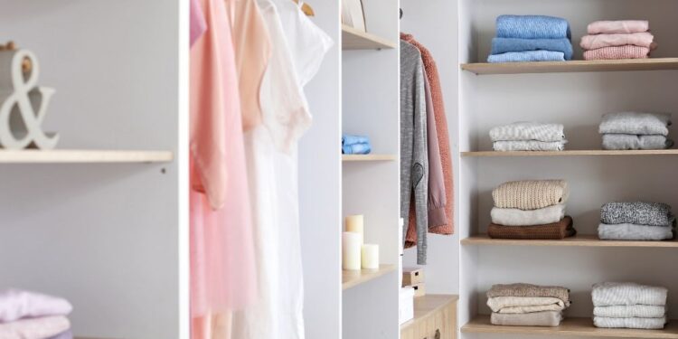 SEGREDO para acabar com as TRAÇAS no guarda-roupa