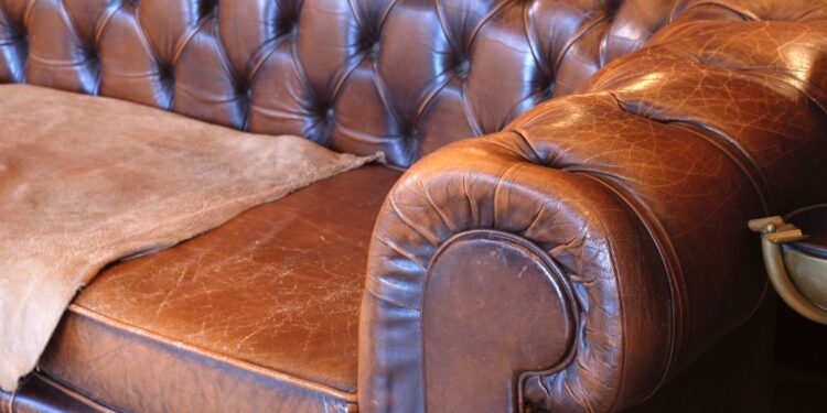 Segredos para manter o sofá de couro como novo!