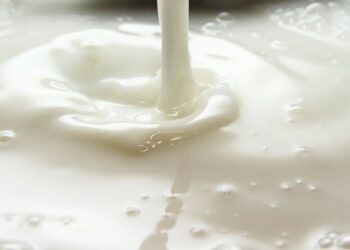 Termolina caseira super fácil de fazer: Veja o passo a passo!