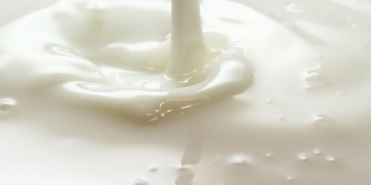 Termolina caseira super fácil de fazer: Veja o passo a passo!