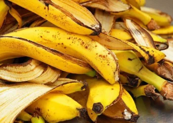 8 maneiras inteligentes de usar as cascas de banana na jardinagem!