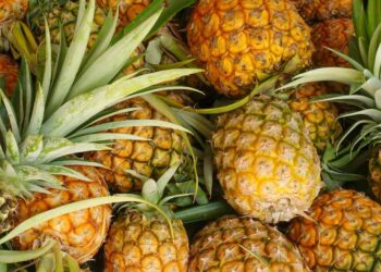 dicas sobre como escolher abacaxi