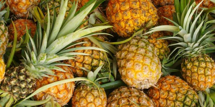 dicas sobre como escolher abacaxi