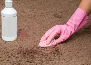 limpar tapete e carpete a seco