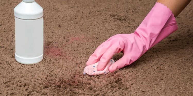 limpar tapete e carpete a seco