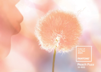 peach fuzz ideias para usar a cor na decoração