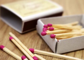 como usar palitos de fosforo no jardim