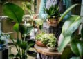 Acelere o crescimento das suas PLANTAS com esse TRUQUE!