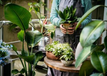 Acelere o crescimento das suas PLANTAS com esse TRUQUE!