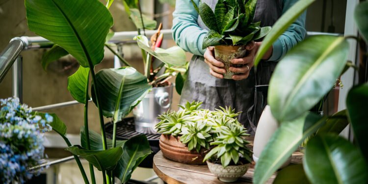Acelere o crescimento das suas PLANTAS com esse TRUQUE!