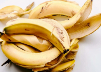 Casca de banana: por que é importante colocá-la nas plantas?