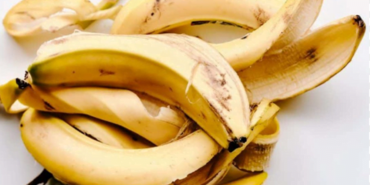 Casca de banana: por que é importante colocá-la nas plantas?