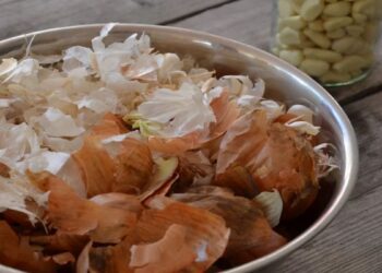 Benefícios Surpreendentes da Casca de Cebola para suas Plantas