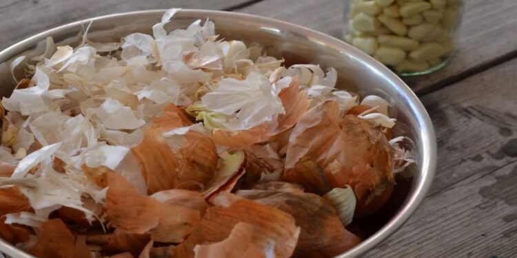 Benefícios Surpreendentes da Casca de Cebola para suas Plantas