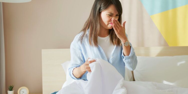 Como eliminar cheiro de fumaça do ambiente? Aprenda aqui!