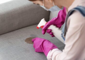 Aprenda a usar o vinagre para REMOVER MANCHAS de comida do sofá